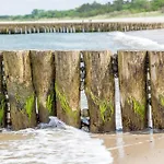 Schmidt - Strandhaus Direkt Am Mit Sauna, Sport Und Dünengarten Iii * Rostock
